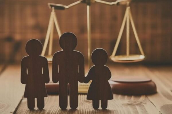 Family Court Laws